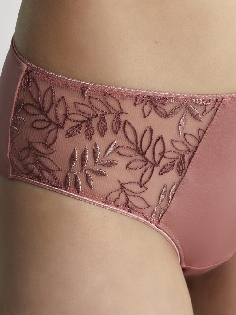 PANACHE - FREE SHIPPING - Tango Luxe Briefs