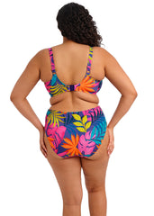 ELOMI - FREE EXPRESS SHIPPING - Porto Rafti Plunge Bikini Elomi Swimwear