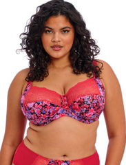 ELOMI - FREE EXPRESS SHIPPING - Morgan Banded Elomi Bra