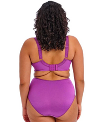ELOMI - FREE EXPRESS SHIPPING - Cate Banded Elomi Bra