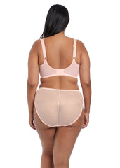 Elomi - FREE SHIPPING - Charley High Leg Brief Elomi Panties