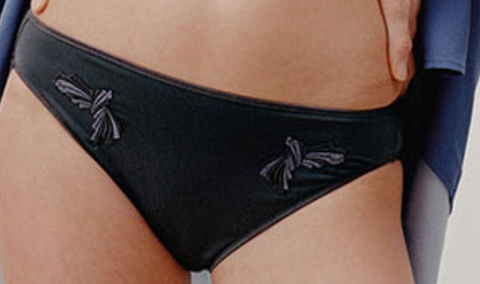 CHANTELLE - FREE SHIPPING - Hedona Bikini Chantelle Panties
