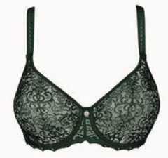 EMPREINTE - FREE SHIPPING - Cassiopee Brief Empreinte Panties