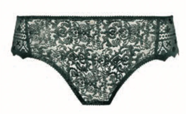 EMPREINTE - FREE SHIPPING - Cassiopee Brief Empreinte Panties