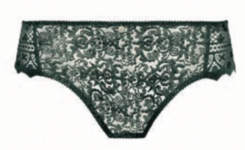 EMPREINTE - FREE SHIPPING - Cassiopee Brief Empreinte Panties