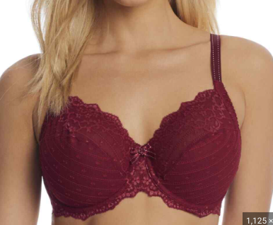 CHANTELLE - FREE EXPRESS SHIPPING - Rive Gauche Chantelle Bra