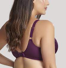 SCULPTRESSE - FREE EXPRESS SHIPPING - Estel Full Cup Sculptresse Bra