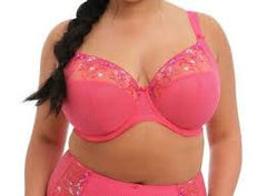Elomi - FREE SHIPPING - Charley Full Brief Elomi Panties